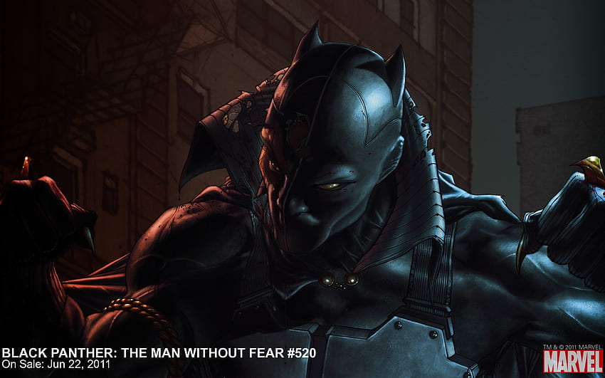 Black Panther: Man Without Fear HD wallpaper