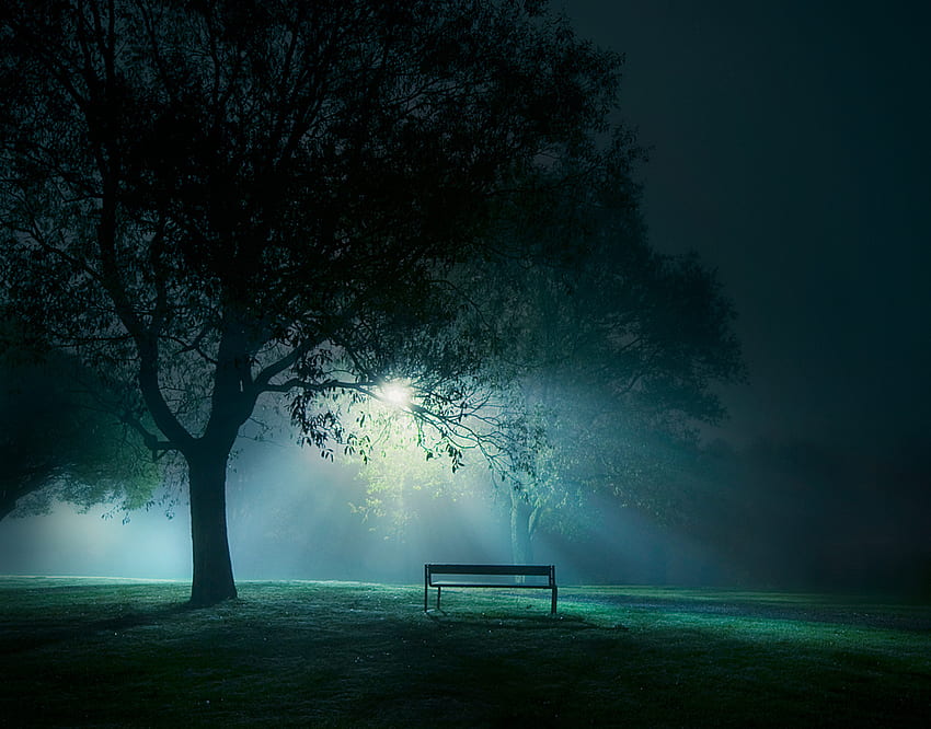 Night light, night, bench, fog, light HD wallpaper