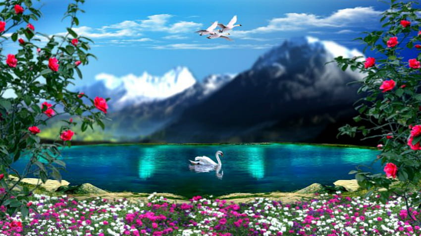 ~*~ Spring Swans ~*~, landscape, spring lakes, spring flowers, flowers, spring, Spring Swans, lake HD wallpaper
