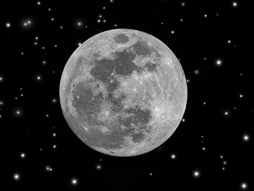 de de arianagrande coachella moon [] para su, móvil y tableta. Explora el de la luna. luna, luna, de luna, luz de luna de ariana grande fondo de pantalla