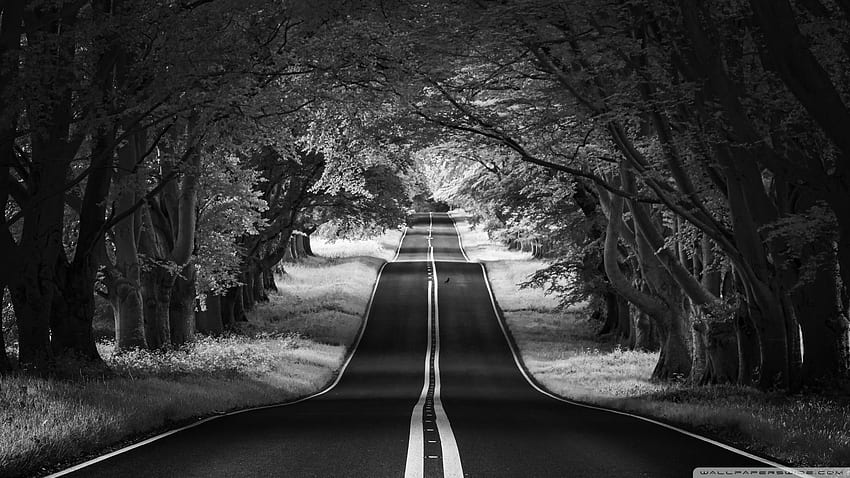 Road Landscape, Aesthetic, Black and White Ultra Background for U TV ...