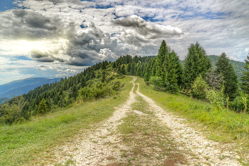 Nature, Clouds, Road, Forest, Dahl, Distance HD wallpaper