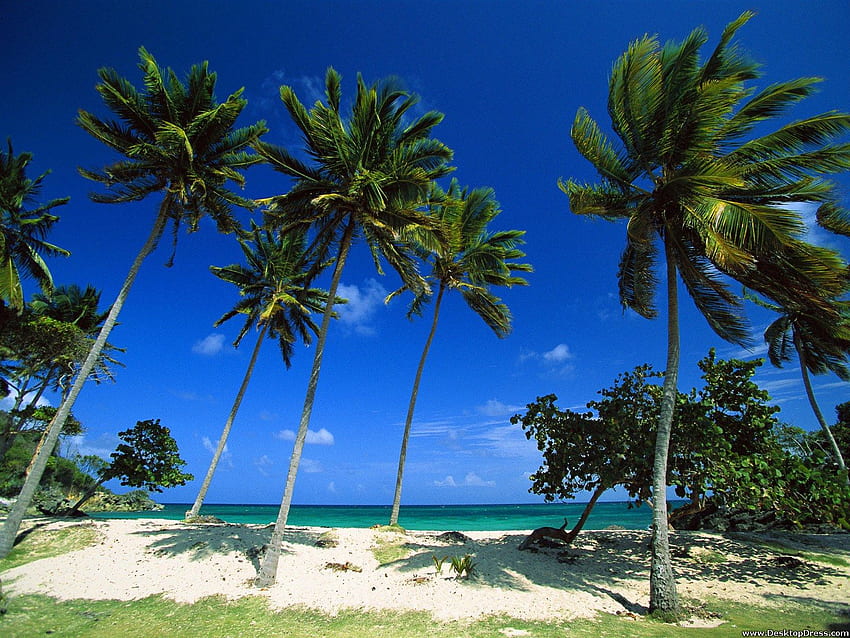 Dominican Republic Background. Beautiful , and Naruto Background HD ...