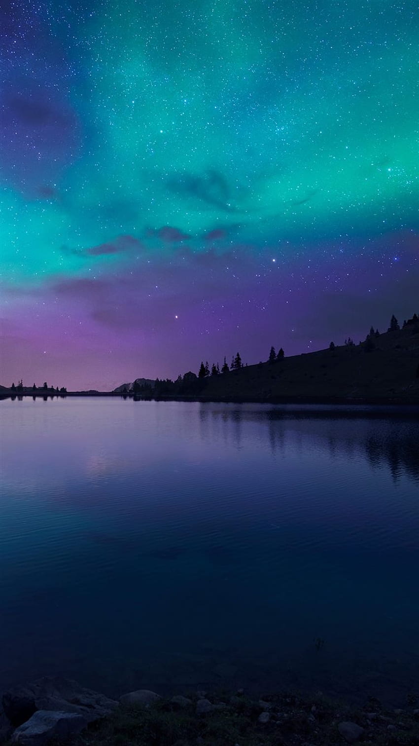 Mystical Night Sky on ..dog, Mystical Lake HD phone wallpaper | Pxfuel
