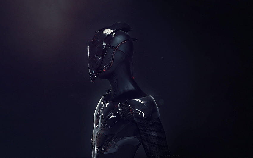 Cyborg . Cyborg Superman, Cool Cyborg HD wallpaper