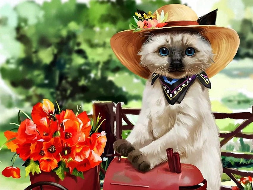 Miss Kitty, cat, flowers, painting, hat HD wallpaper