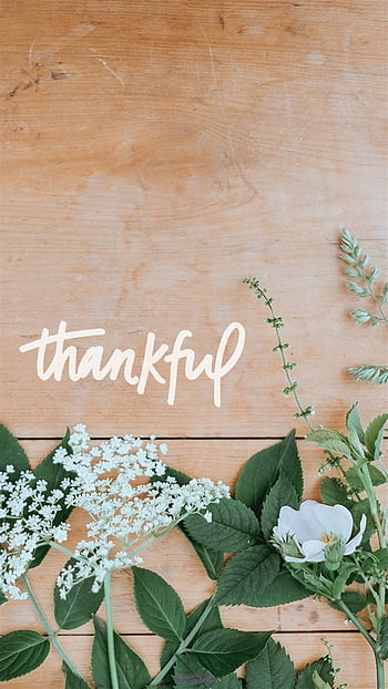 Gratitude and gratitude thankfulness HD wallpapers | Pxfuel