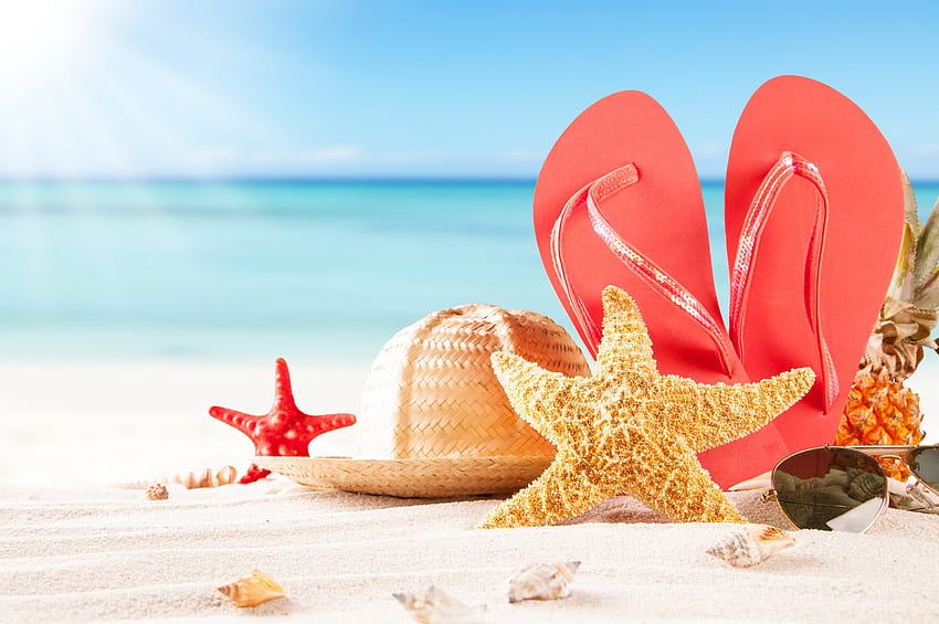 Summer Vacation, starfish, sunshine, summer, shells, sand, hat, vacation, beach HD wallpaper