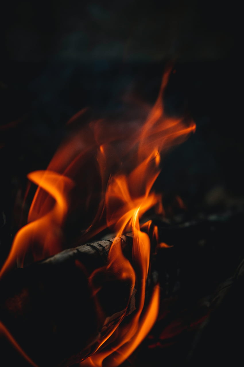 Fire, Bonfire, Dark, Flame, Close-Up HD phone wallpaper