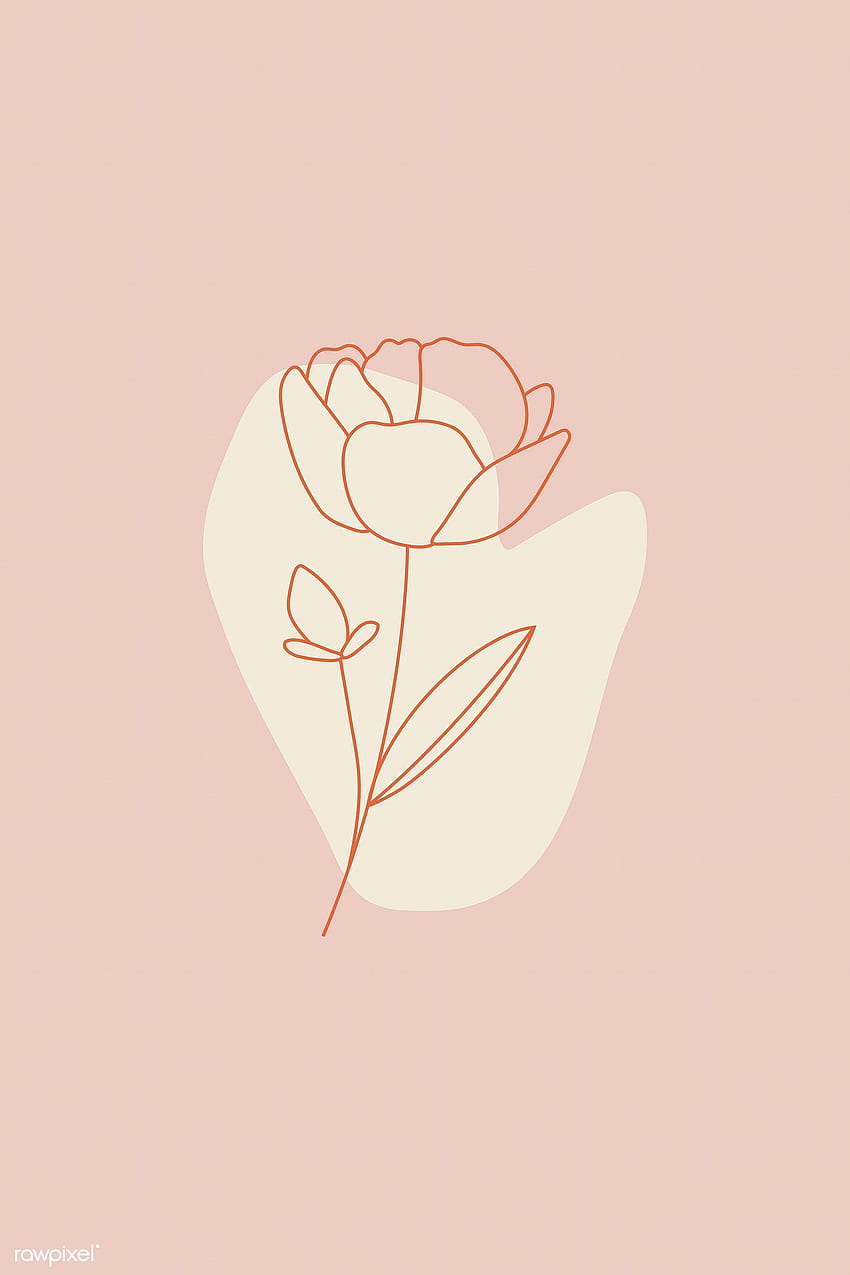 ピンクの背景に花の線画のプレミアムベクター。 線画の花、抽象線、一輪の花の絵 HD電話の壁紙