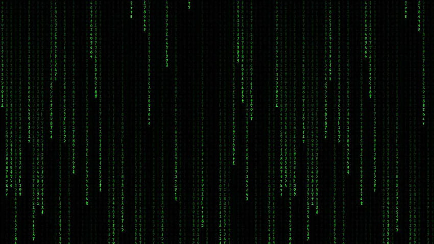 Die Matrix und der Hintergrund HD-Hintergrundbild