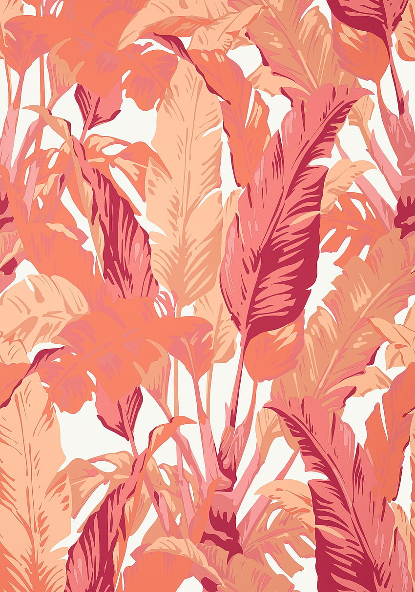 TRAVELERS PALM, Rosa y Coral, T10130, Colección Tropics de Thibaut. Coral, Palma, tropical, Coral lindo fondo de pantalla del teléfono