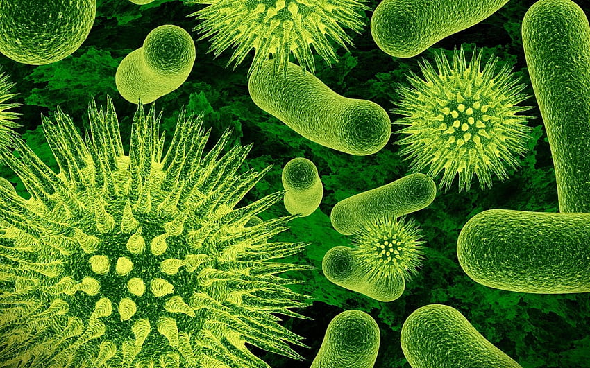 Бактерии, микробиология HD тапет