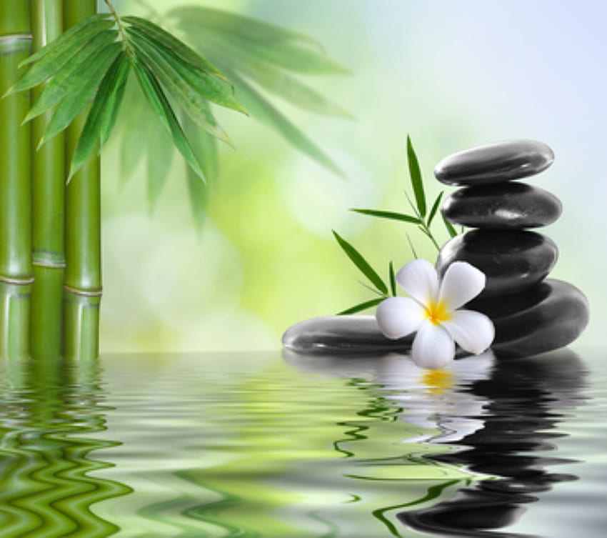 Zen-Basaltsteine, Grün, Blätter, Bambus, Steine, Garten HD-Hintergrundbild
