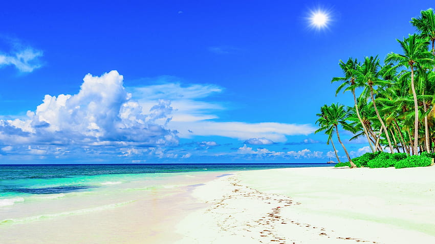 Sonnige Strände - , Sonniger Strand-Hintergrund auf Fledermaus, Hippie-Strand HD-Hintergrundbild