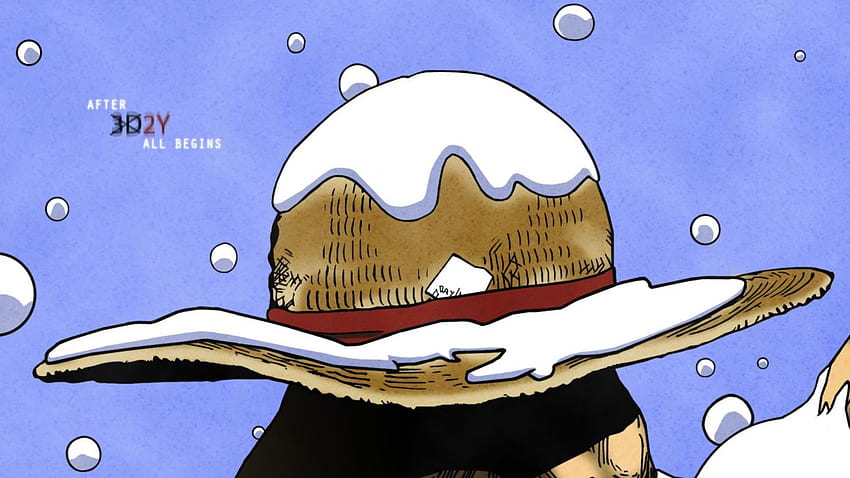 One Piece Van Pis Mugivary One Piece Wang Pis Snatch Cappelli di paglia, logo cappello di paglia Sfondo HD