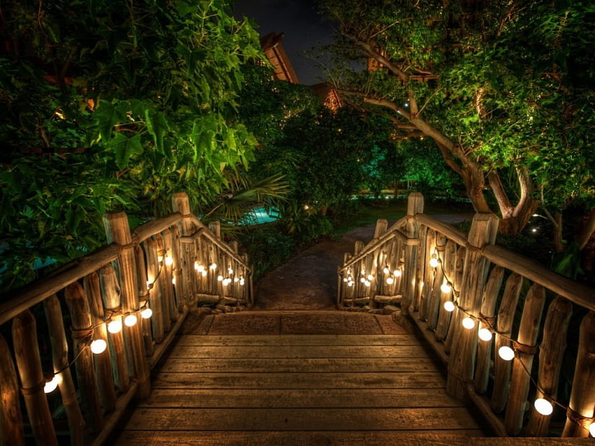 Светлини на моста, нощ, стълби, светлини, дървета, вода, курорт HD тапет