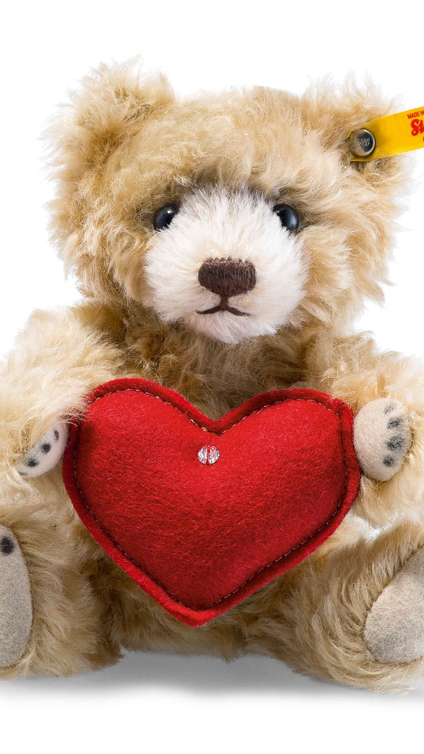 Teddy Bear Live, Cute, Soft, Toy HD phone wallpaper