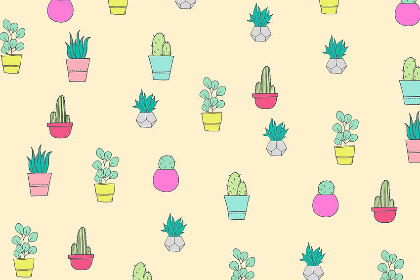 Cactus, Cacti HD wallpaper