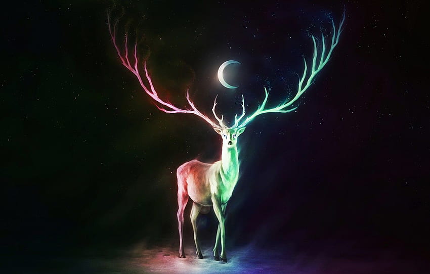 colorful, moon, fantasy, horns, stars, animal, digital art, artwork, fantasy art, Deer for , section фантастика HD wallpaper