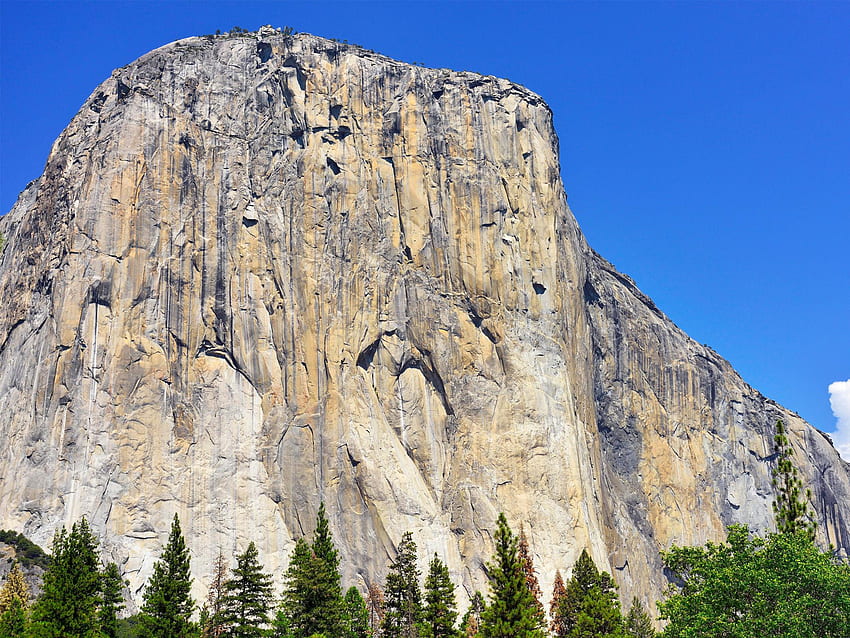 Two climbers fall to their deaths from El Capitan rock face in Yosemite National Park. The Independent, Yosemite Climbing HD wallpaper
