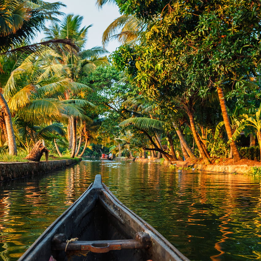 The Kerala Backwaters и как да го направите най-добре HD тапет за телефон