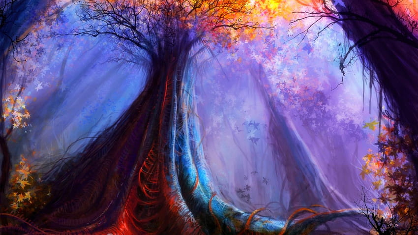 Enchanted Forest, colorful, enchanted, beautiful, forest, dark HD wallpaper