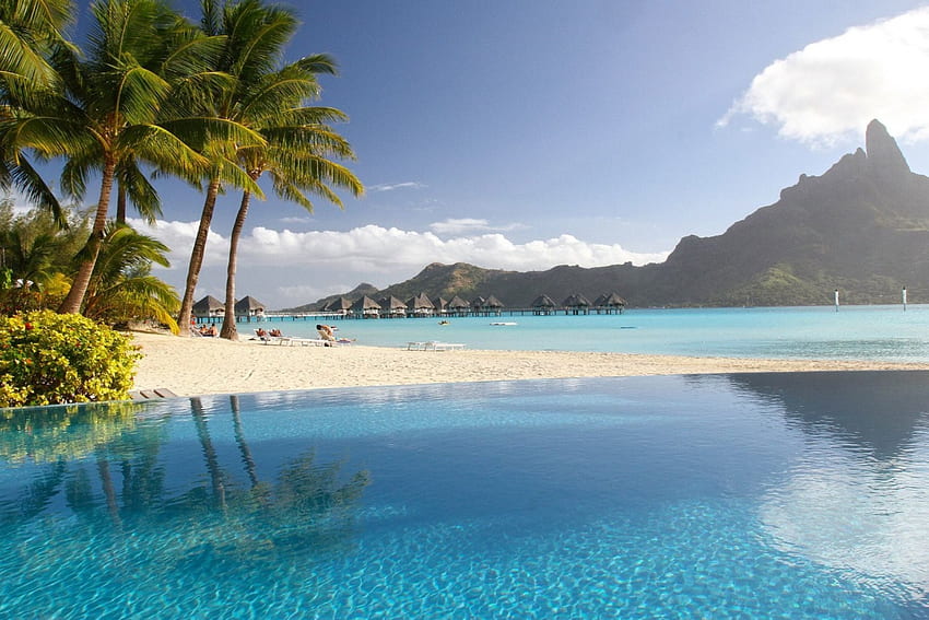 Exotic, tropical, pool, lagoon, resort, palm trees, beach HD wallpaper