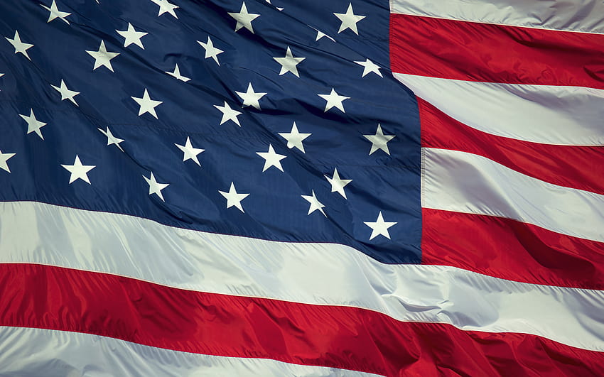 Głosowanie, amerykański, flaga, streszczenie, grafika Tapeta HD