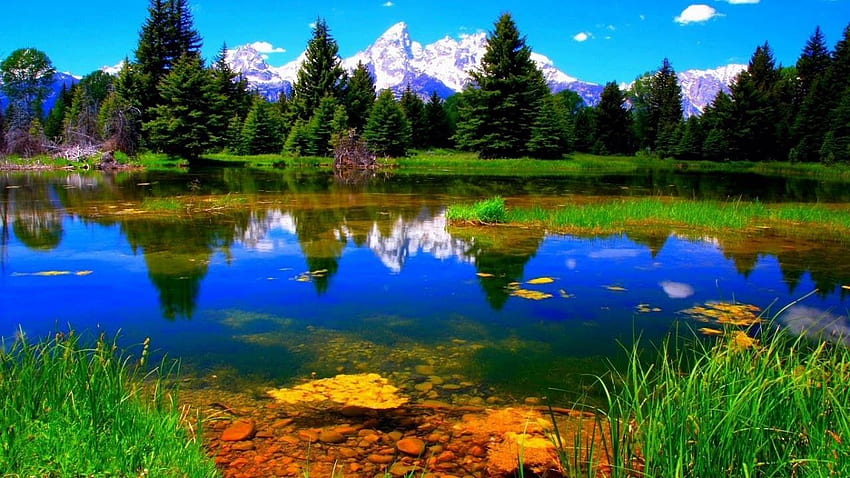 ธรรมชาติสวยงาม สวยงาม สวยงามของธรรมชาติ สวยงามจริงๆ วอลล์เปเปอร์ HD