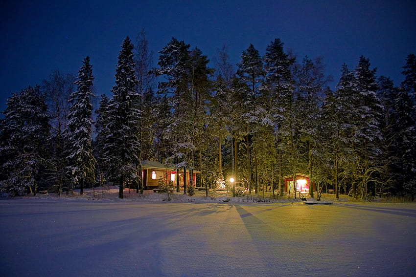 겨울 숲의 오두막, 나무, 전나무, 빛, 눈 HD 월페이퍼