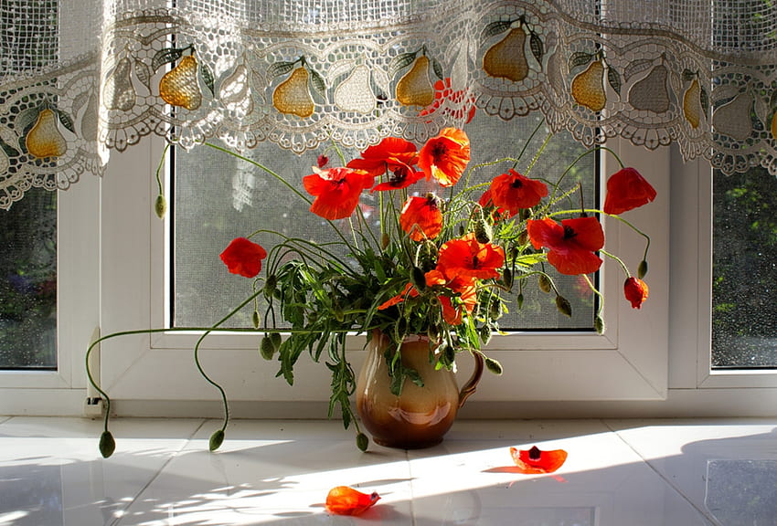 Still life with poppies, Flowers, Pitcher, Poppies, Art HD wallpaper