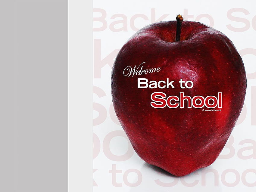 School, Back to School, Welcome Back HD wallpaper