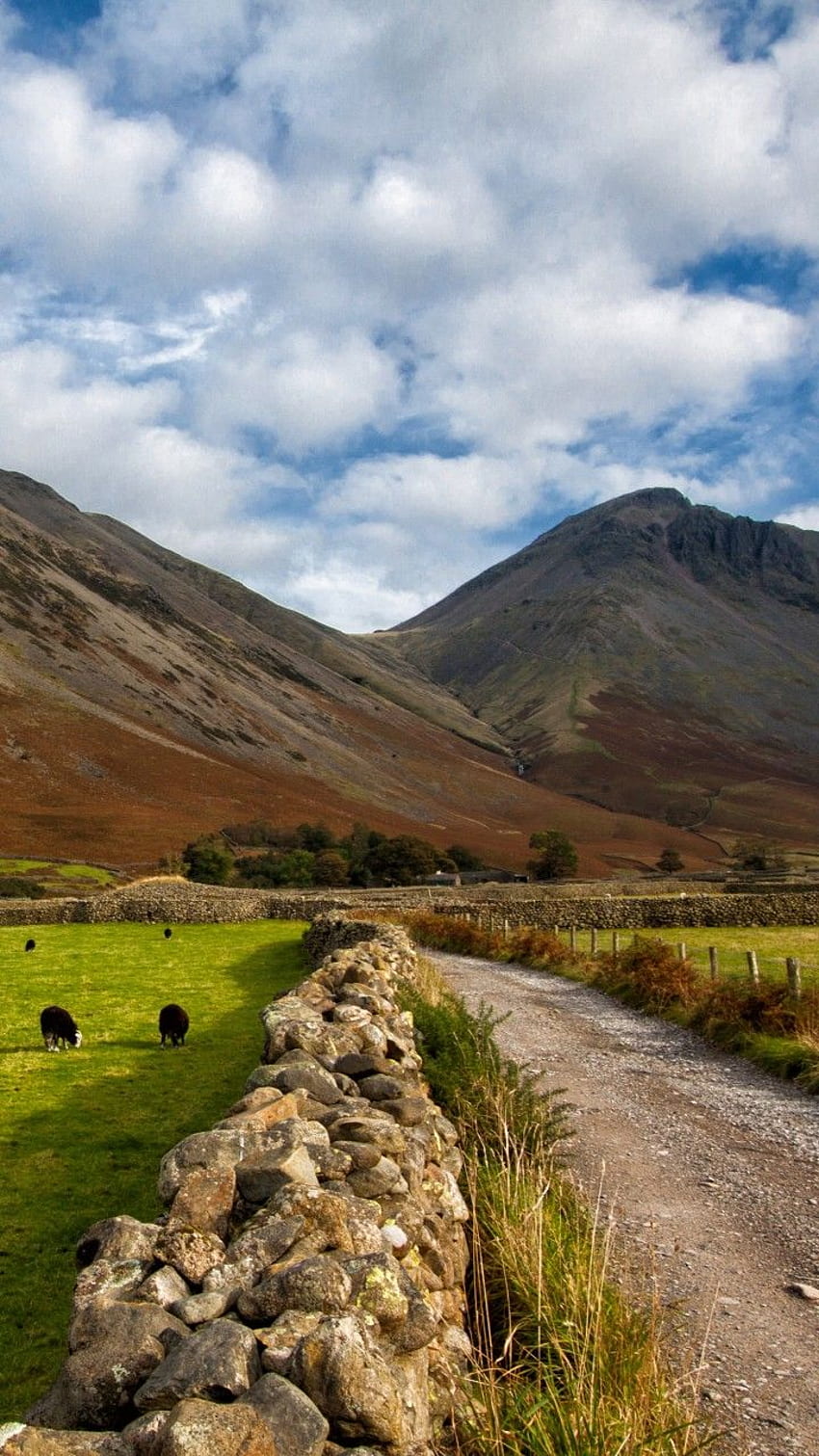 Lake District, , , National Park, Cumbria, England, hills, meadows, goats, Nature HD phone wallpaper