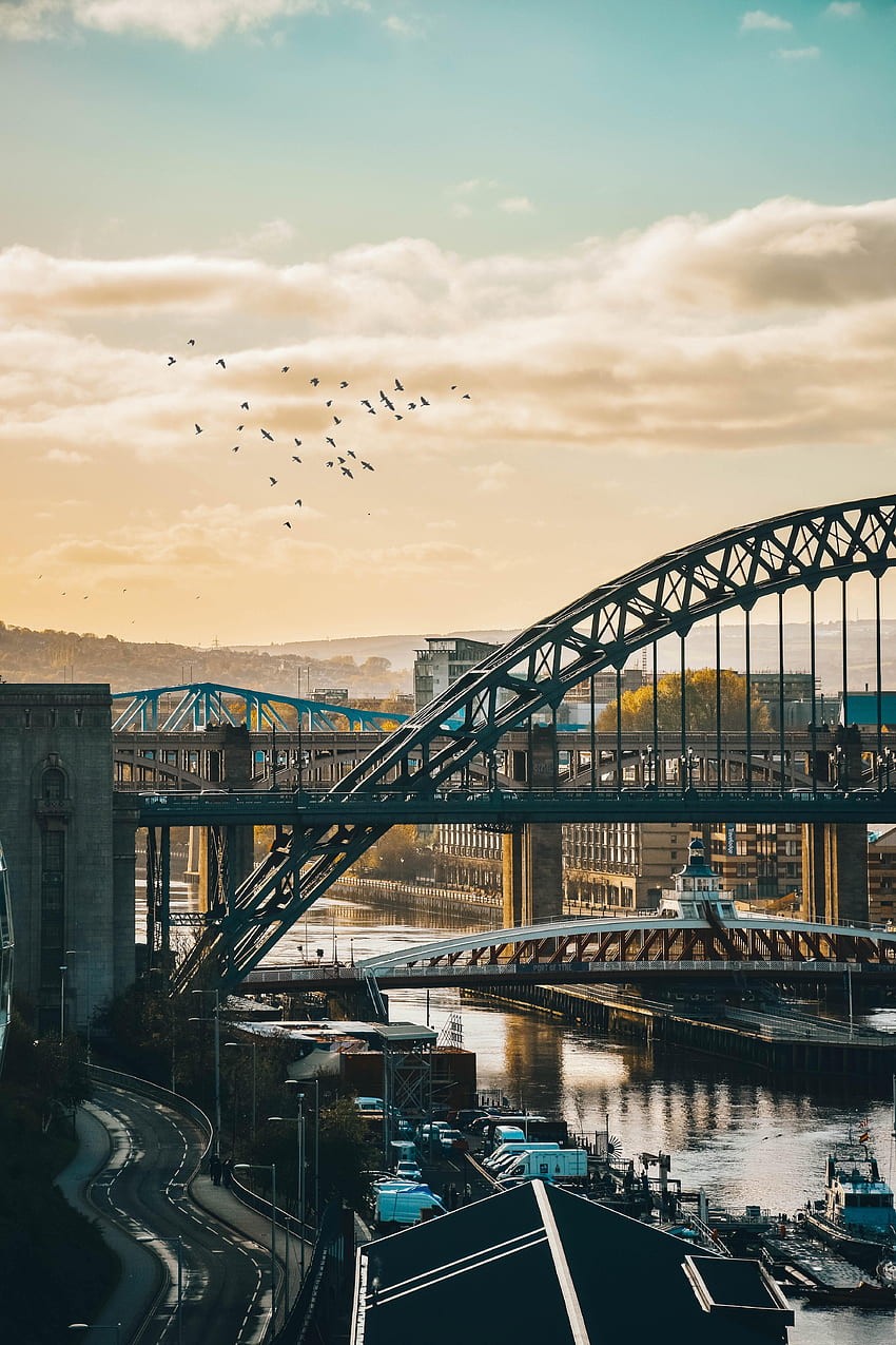 Städte, Vögel, Architektur, Wolken, Stadt, Brücke HD-Handy-Hintergrundbild