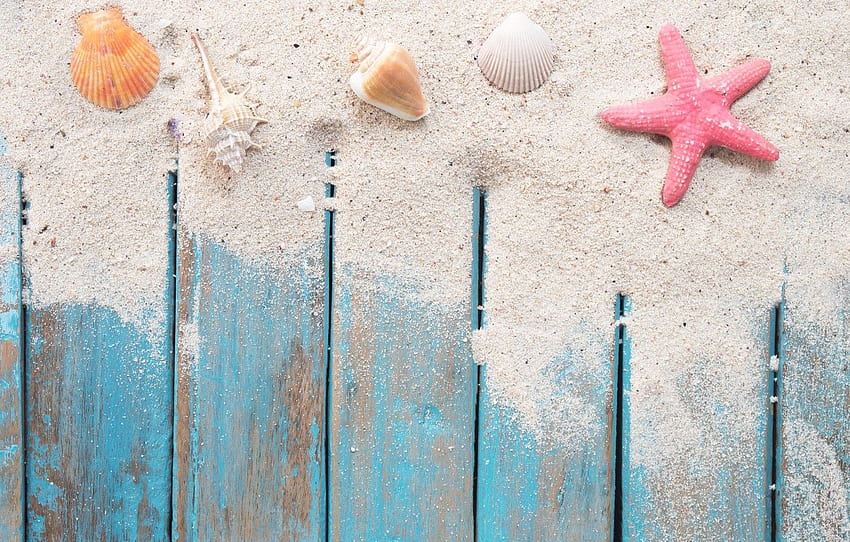 pasir, pantai, bintang, kulit, musim panas, pantai, kayu, kerang Wallpaper HD