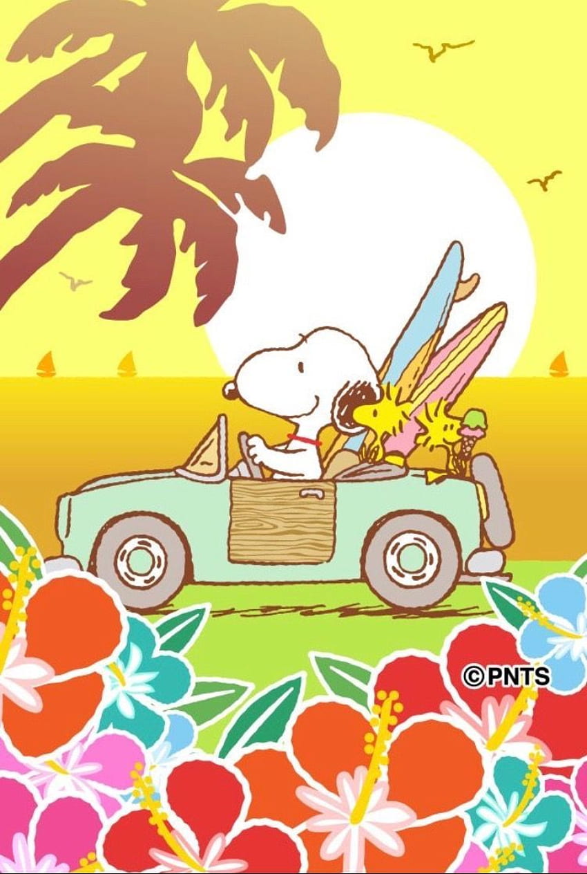 Sahile gitmeye hazır!. Snoopy, Snoopy, Snoopy aşkı, Snoopy Yaz HD telefon duvar kağıdı