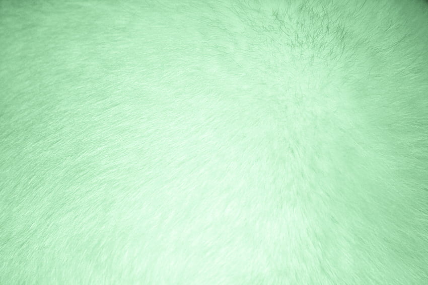 Hellgrüne Textur HD-Hintergrundbild