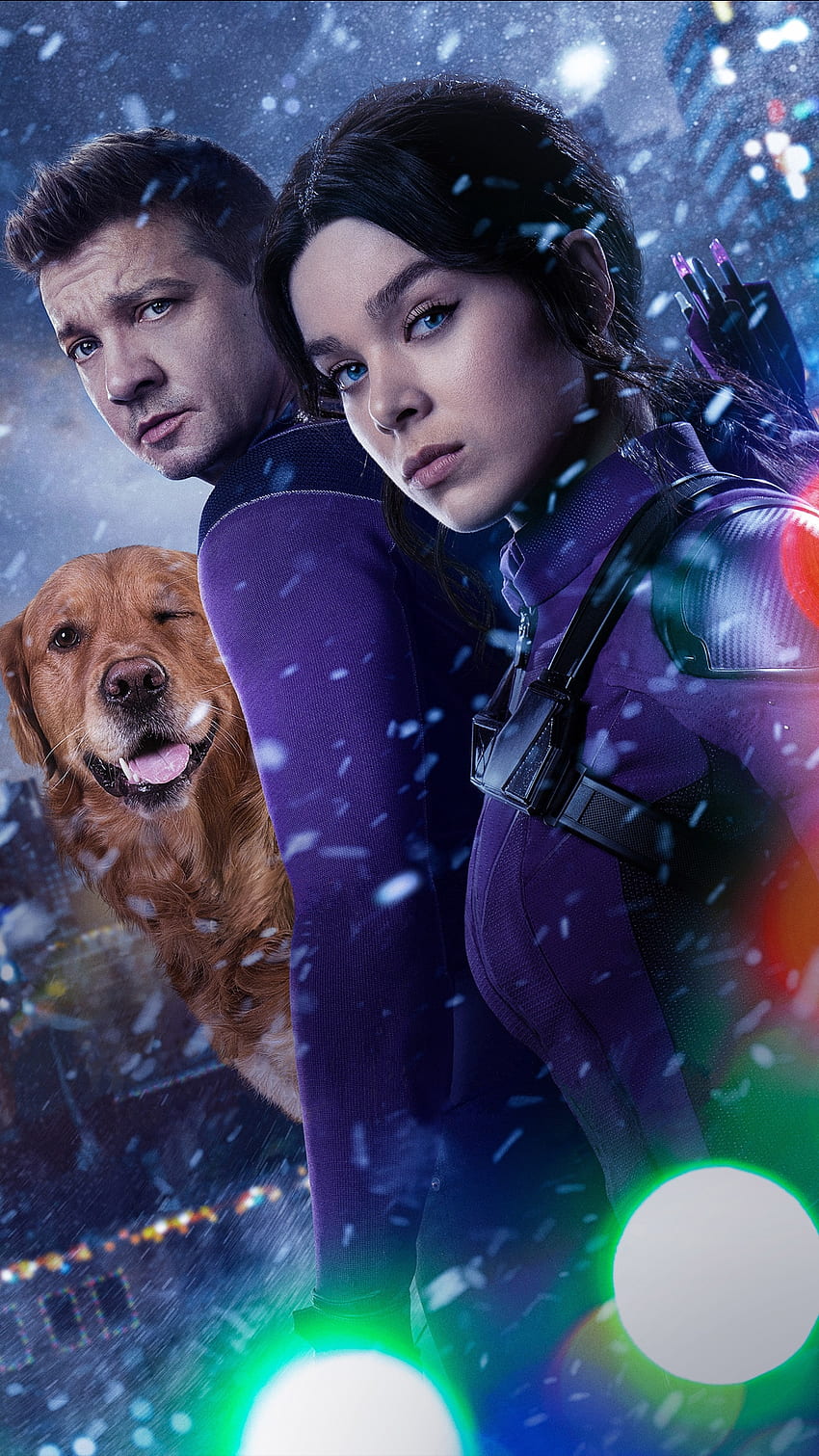 Hawkeye, head, companion dog, series HD phone wallpaper