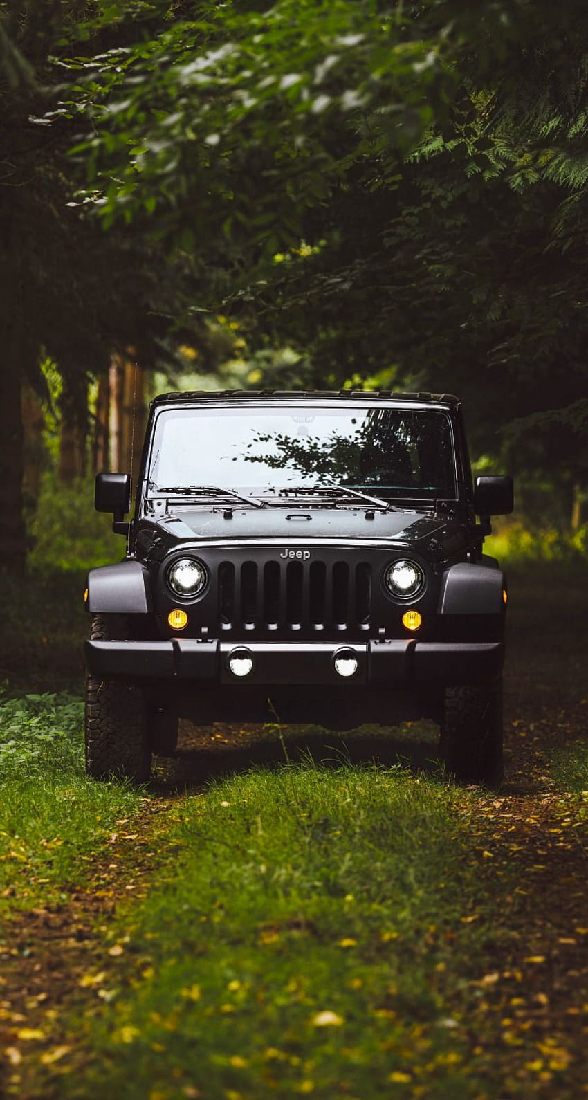 iPhone X (Posts tagged car) in 2021. Jeep cars, Jeep , Car background, Mahindra Thar 2021 HD phone wallpaper