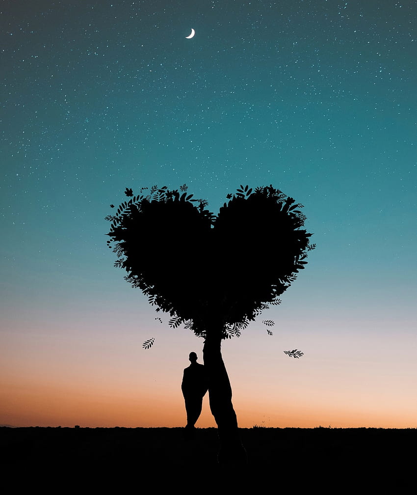 amor, silueta, madera, árbol, humano, persona, corazón fondo de pantalla del teléfono