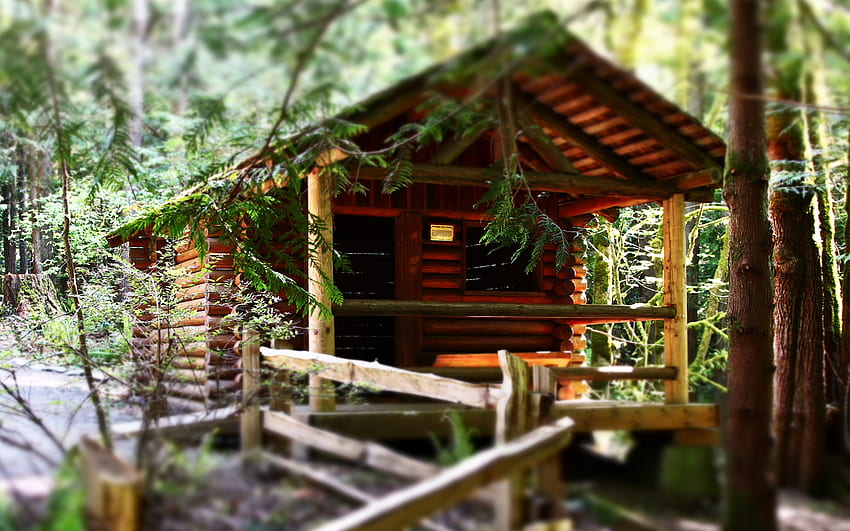 Toy Cabin, architecture, que, beautiful, serene, cabin, evergreens, quaint, clam, forest HD wallpaper