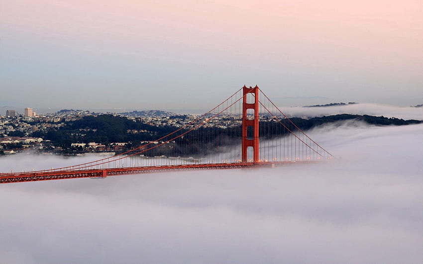 Градове, сграда, мъгла, мост, Сан Франциско HD тапет