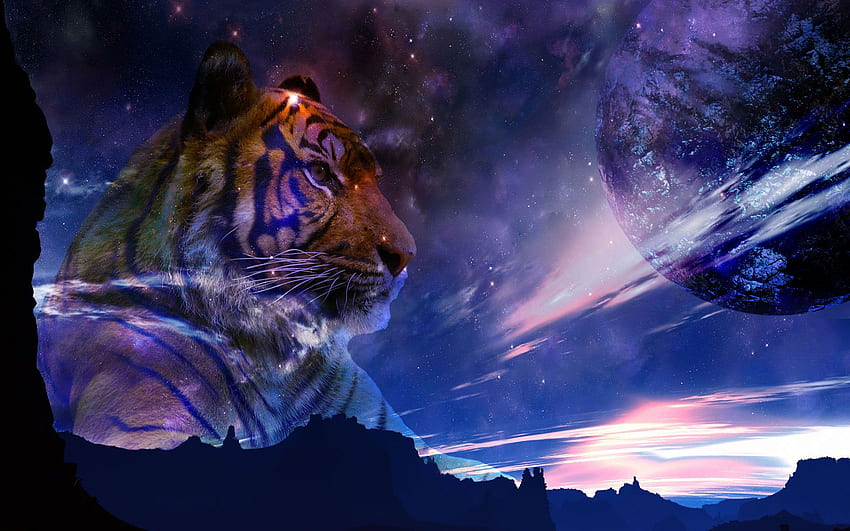 Space ? - added by twistedwoodthing at In the beginning, Space Tiger HD wallpaper