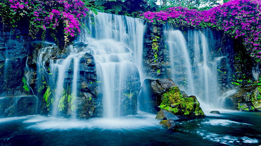 Blauer Wasserfall in Hawaii, Fluss, Kaskaden, Blumen, Felsen, USA HD-Hintergrundbild