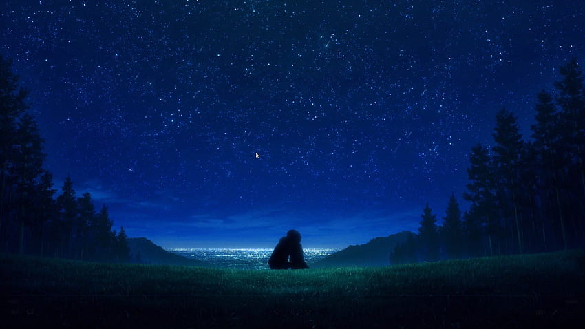 SAO Shooting Stars Anime Live HD wallpaper