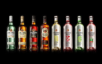 Wallpaper  bacardi rum cuban drink bottle brand 1920x1200  goodfon   738512  HD Wallpapers  WallHere