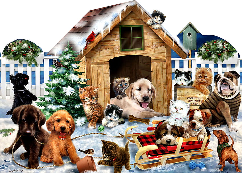 Playing in the Snow- Pets F, 겨울, 동물, 예술, 개, 고양이, 고양이, 아름다운, 삽화, 삽화, 와이드 스크린, , 눈, 애완 동물, 개 HD 월페이퍼