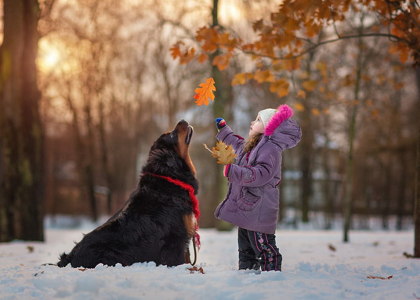 Satu lagi, musim dingin, anjing, hewan, hitam, imut, copil, besar, musim gugur, putih, gadis, oranye, andy seliverstoff, kecil, pink, lucu, daun, anak Wallpaper HD