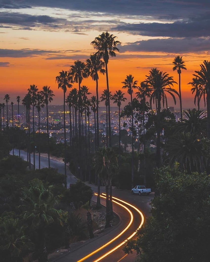 Bella Los Angeles California, iPhone estetico di Los Angeles Sfondo del telefono HD